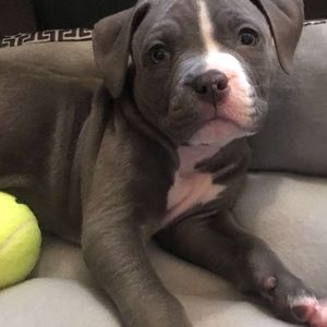 Meet your Posher, Justina